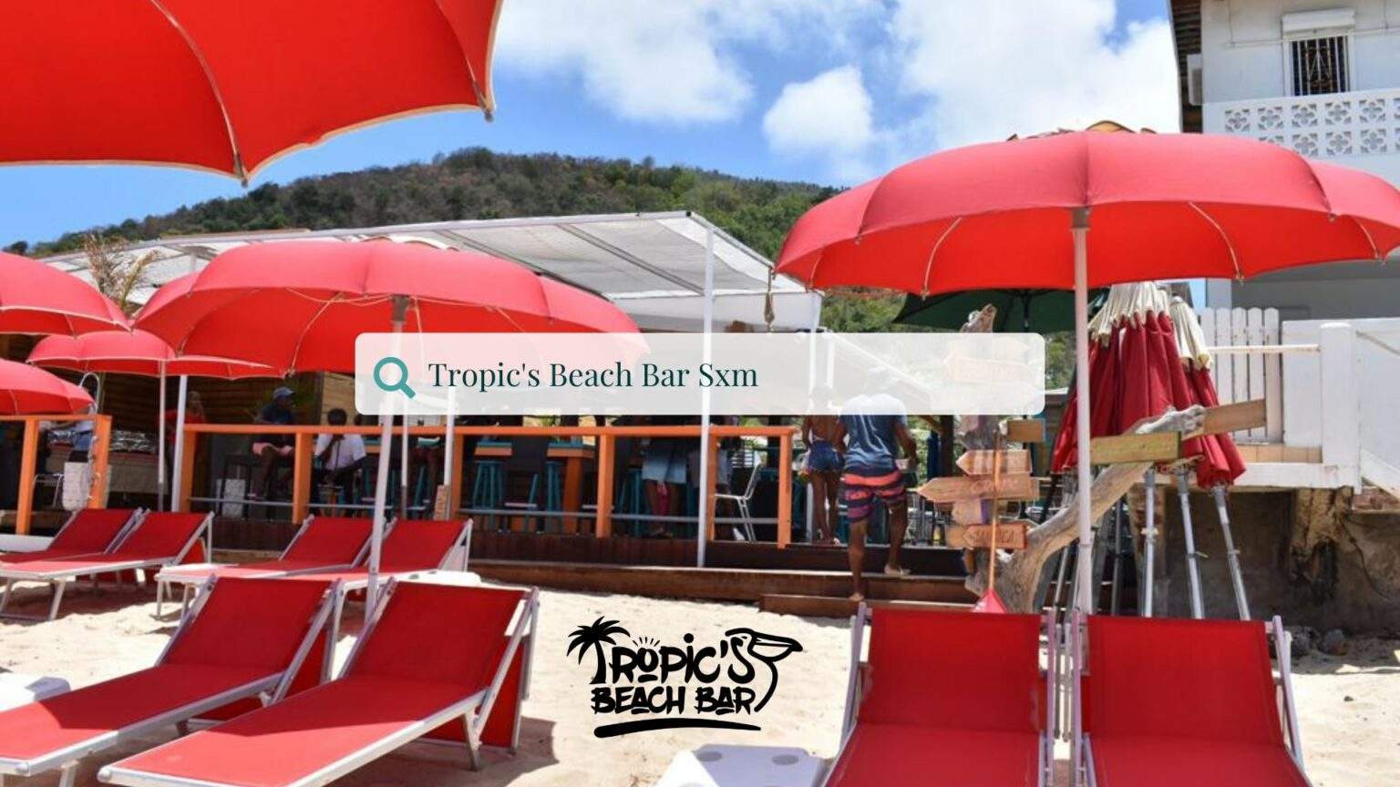 cattle fattening project proposal in ethiopia pdf free